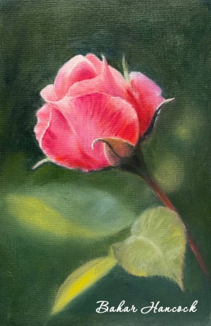 Рисунки учеников с курса Розы маслом